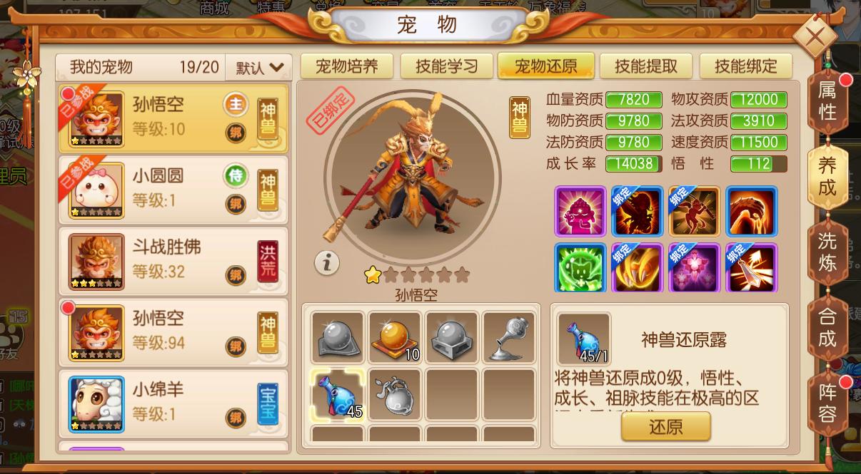 宠物技能装备